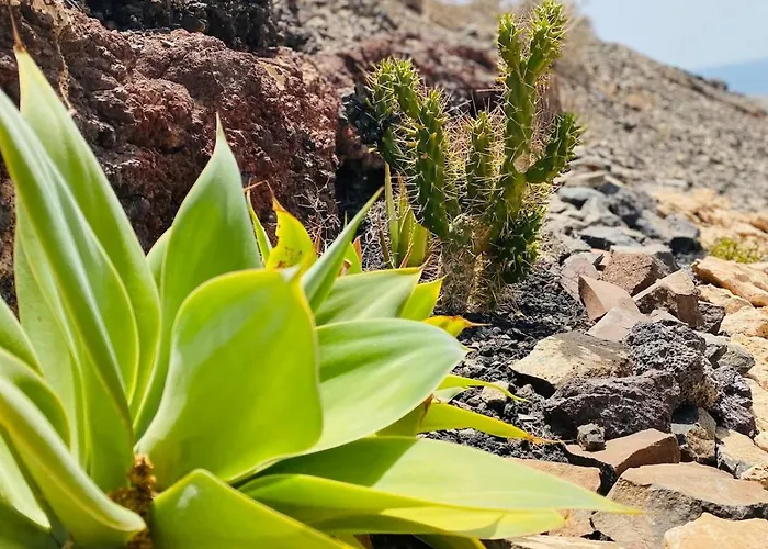 Apartment 8 Islas Las Playas