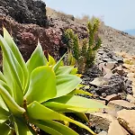 Apartamento 8 Islas Las Playas